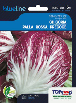 SEMENTE TOPSEED CHICORIA PALLA ROSSA PRECOCE 5G