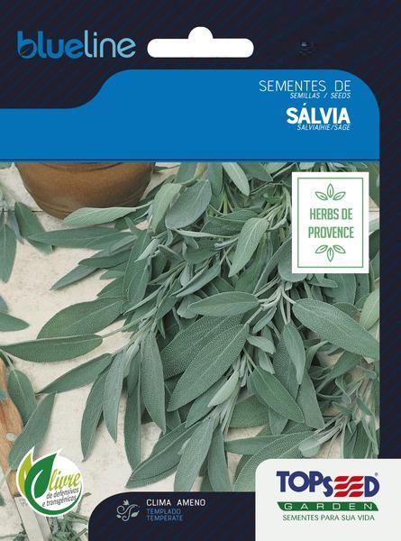 SEMENTE TOPSEED ERVAS SALVIA 2G