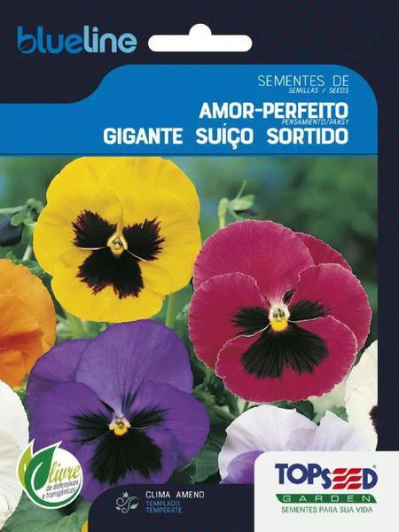 SEMENTE TOPSEED FLORES AMOR PERFEITO GIGANTE SUICO 1G