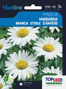 SEMENTE TOPSEED FLORES MARGARIDA BRANCA ETOILE 3G