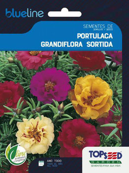 SEMENTE TOPSEED PORTULACA GRANDIFLORA SORTIDA 10G