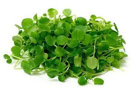 ALMEIRAO/AGRIAO BELAVISTA UN