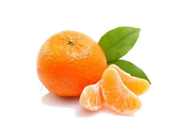 BERGAMOTA MONTENEGRINA KG