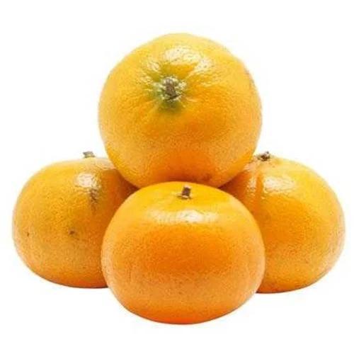 BERGAMOTA MORGOTE KG