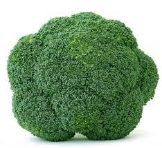 BROCOLI KG
