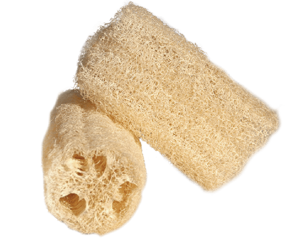 BUCHA VEGETAL DEVINI C/ ALMOFADA RF.5006