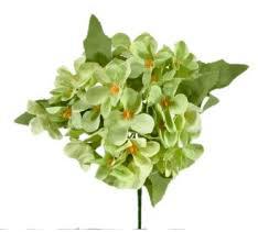 BUQUE DE MARGARIDA X4 BG 236884