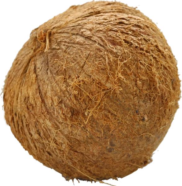 COCO FRUTA KG