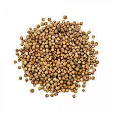 COENTRO BOM GOSTO GRAO 15GR