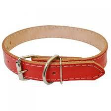 COLEIRA COURO R8