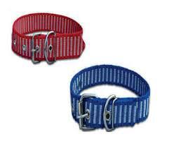 COLEIRA POLIESTER DESENHO R1