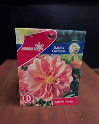 FLOR DALIA AGROBULBOS
