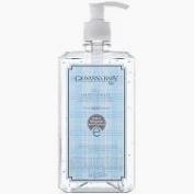 GEL HIGIENIZANTE P/MAOS GIOVANNA BABY BLUE 500ML