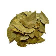 LOURO EM FOLHAS JUREIA 5G