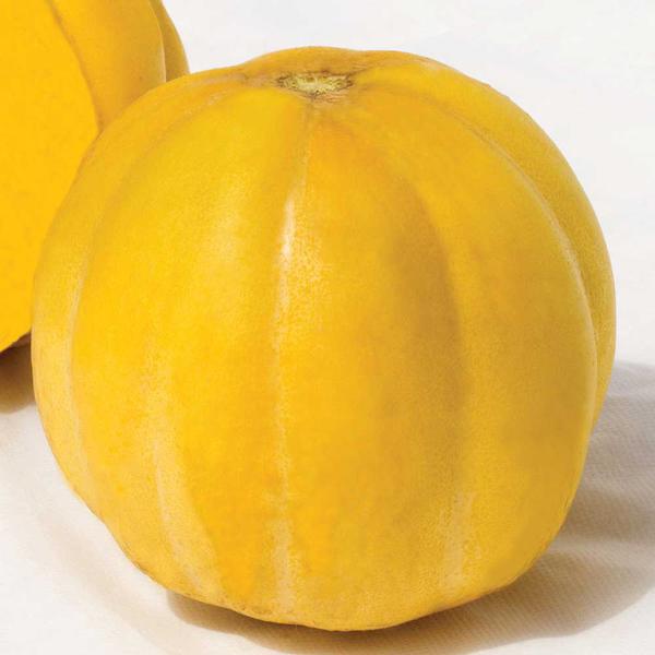 MELAO COLONIAL/GAUCHO KG