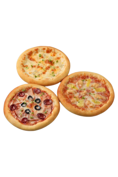 MINI PIZZA PREDILETTA SORTIDA 500G