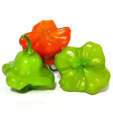 PIMENTA CHAPEU DE BISPO KG