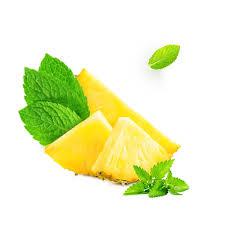 POLPA FLORESTA ABACAXI C/HORTELA 400G