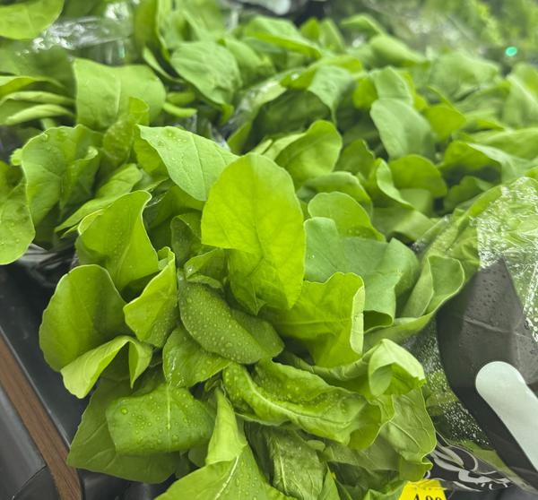 RUCULA HORTALICAS BELAVISTA UN