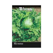 SEMENTE FELTRIN ALFACE AMERICANA GRANDES LAGOS