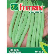 SEMENTE FELTRIN FEIJAO DE VAGEM DYNAMO