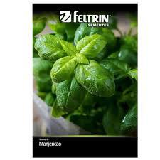 SEMENTE FELTRIN MANJERICAO FOLHAS