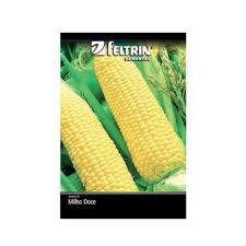 SEMENTE FELTRIN MILHO DOCE
