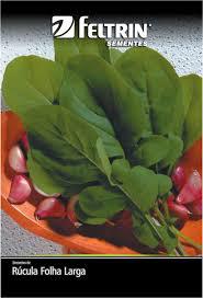 SEMENTE FELTRIN RUCULA FOLHA LARGA