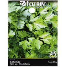 SEMENTE FELTRIN SALSA LISA