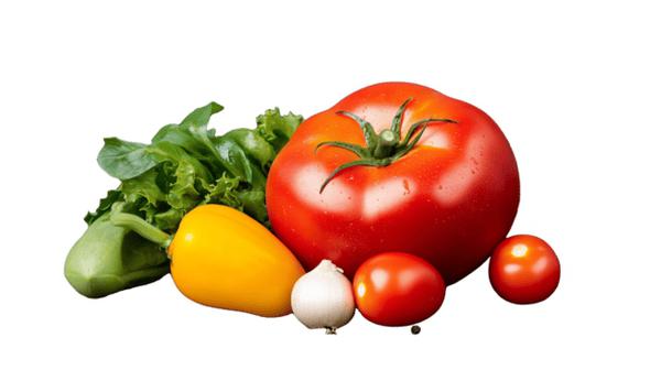 VERDURAS SITIO MAIER