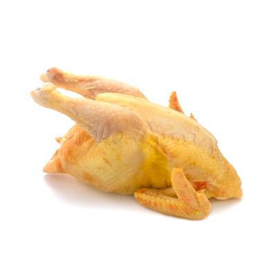 CF FRANGO MELHORADO 1UN