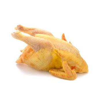 CF FRANGO MELHORADO 1UN