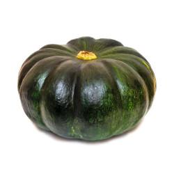 FVL ABOBORA KABUTIA KG