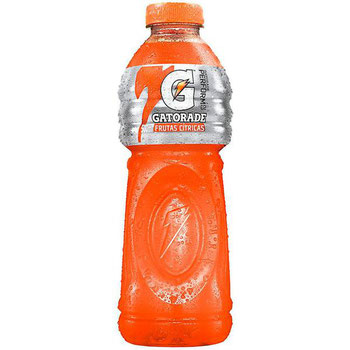 GATORADE FRUTAS CIT 500ML