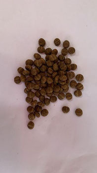 RACAO BOMGUY FILHOTE KG