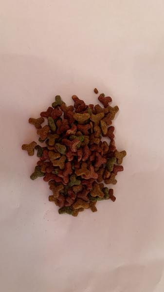 RACAO CHANIM GATO KG