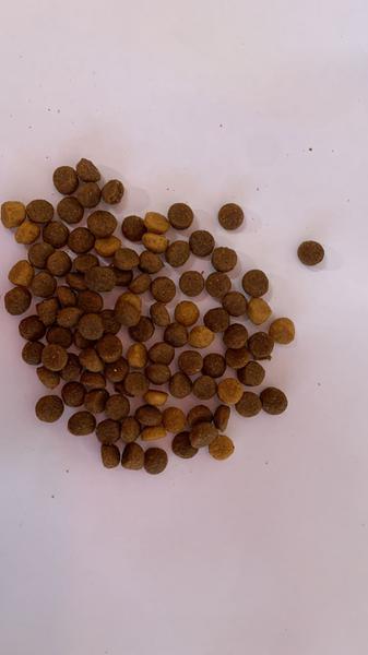 RACAO PEDIGREE FILHOTE KG