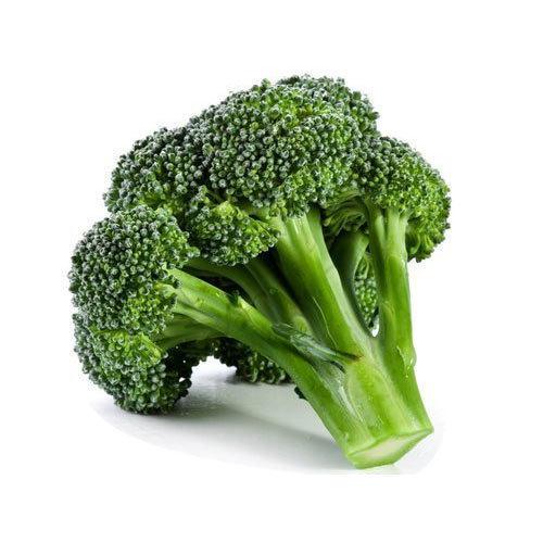 BROCOLIS KG
