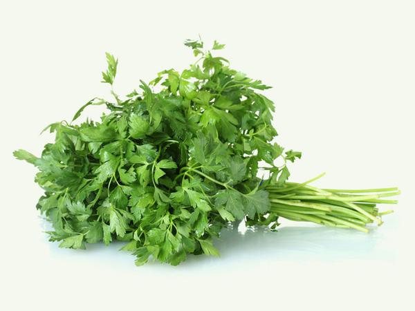SALSA LISA UN