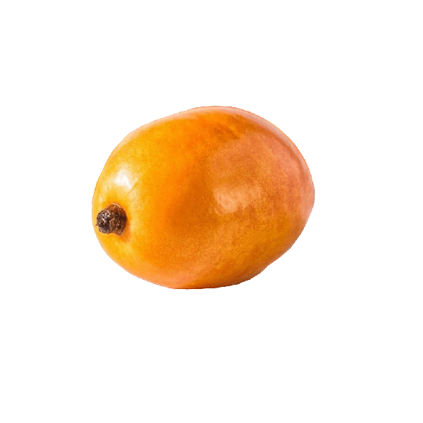 SIRIGUELA KG