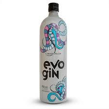 EVO GIN 950ML