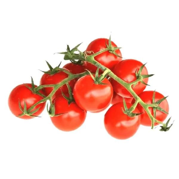 TOMATE HOLANDES KG