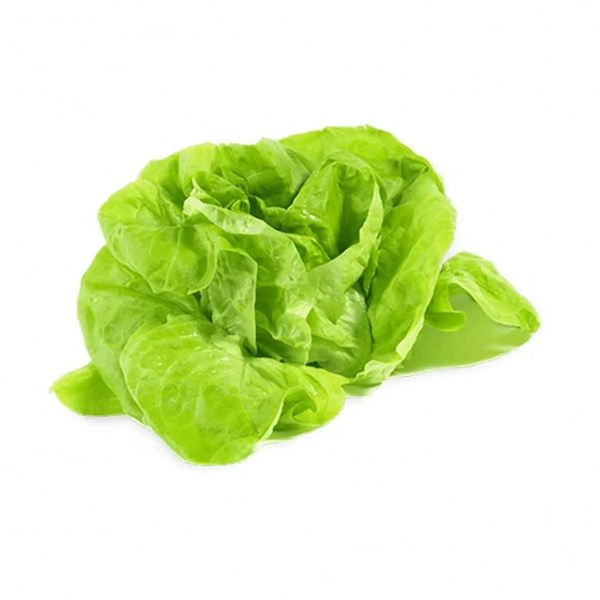 HORTIFRUTI ALFACE LISA UND