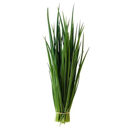 HORTIFRUTI CEBOLINHA UND