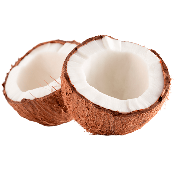 HORTIFRUTI COCO SECO KG