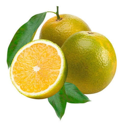 HORTIFRUTI LARANJA PERA RIO KG