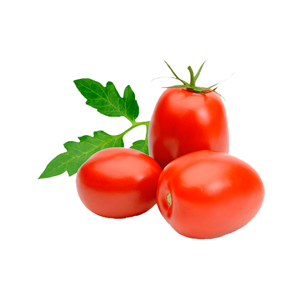 HORTIFRUTI TOMATE ANDREIA ITALIANO KG