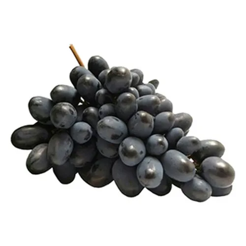 HORTIFRUTI UVA JUBILLE BDJ 500G