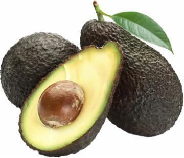 ABACATE AVOCADO KG