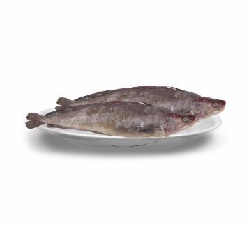 BACALHAU FRESCO INTEIRO NACIONAL KG